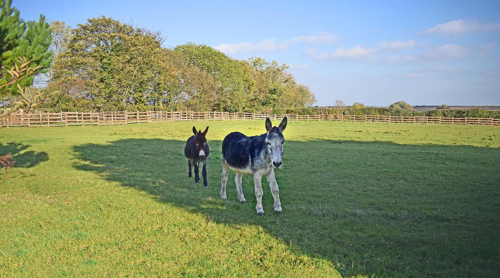 East Markham NOTTINGHAMSHIRE