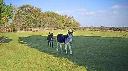 East Markham NOTTINGHAMSHIRE