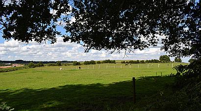 Nr. Mansfield NOTTINGHAMSHIRE