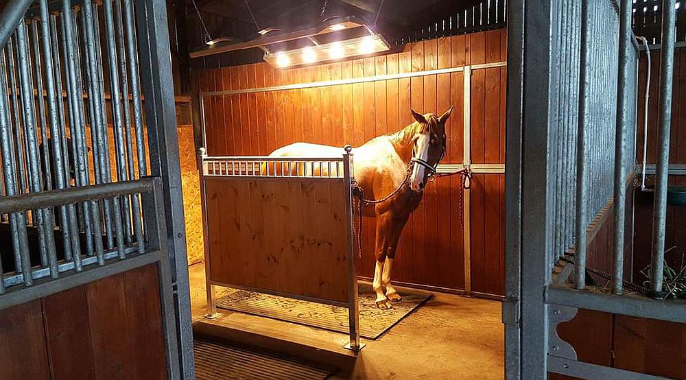 Stafford STAFFORDSHIRE