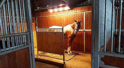 Stafford STAFFORDSHIRE