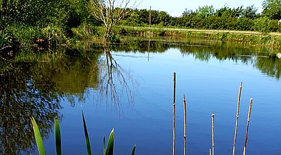 Stafford STAFFORDSHIRE