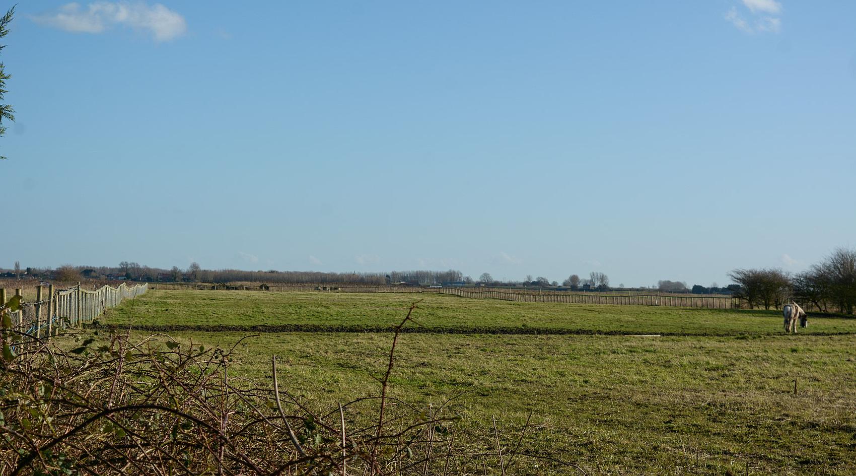 Barroway Drove NORFOLK