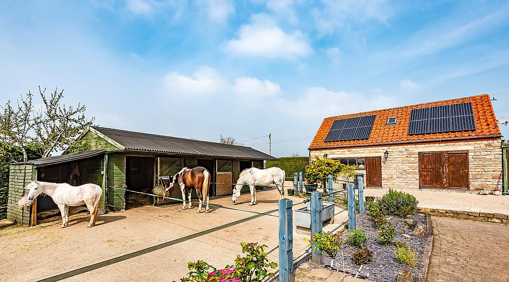 Mansfield NOTTINGHAMSHIRE