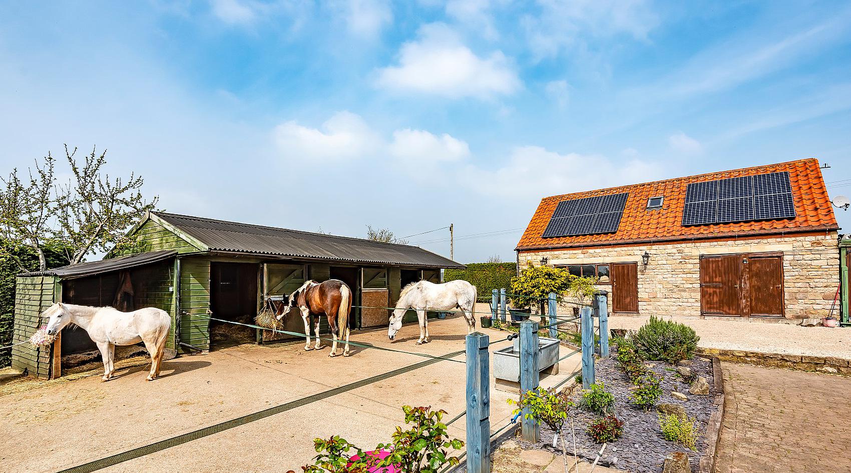 Mansfield NOTTINGHAMSHIRE