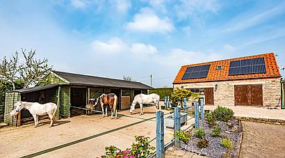 Mansfield NOTTINGHAMSHIRE