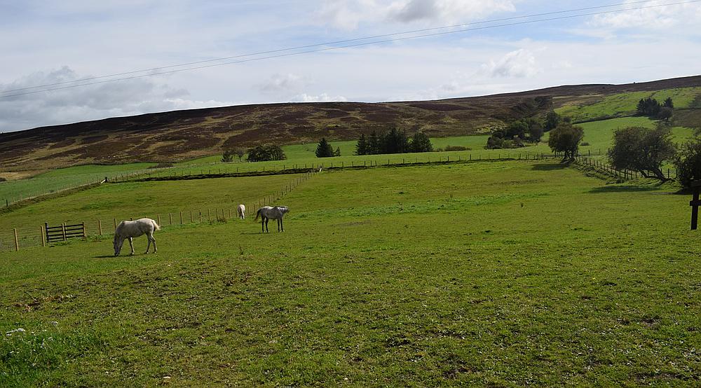 Llansannan DENBIGHSHIRE