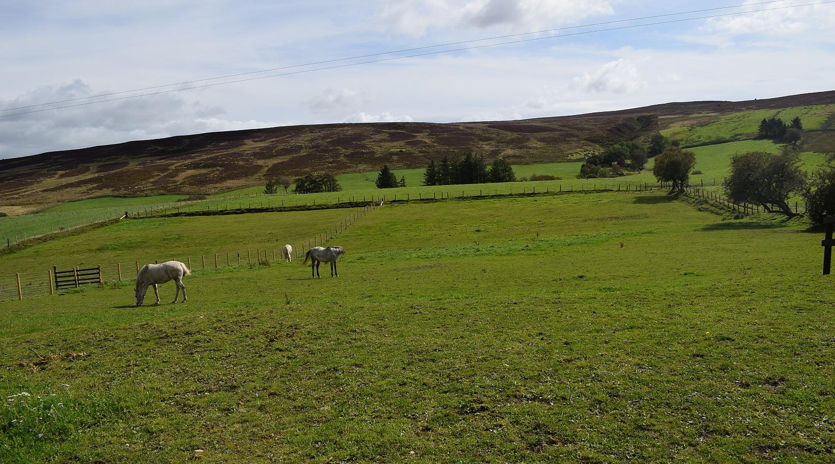 Llansannan DENBIGHSHIRE