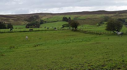 Llansannan DENBIGHSHIRE