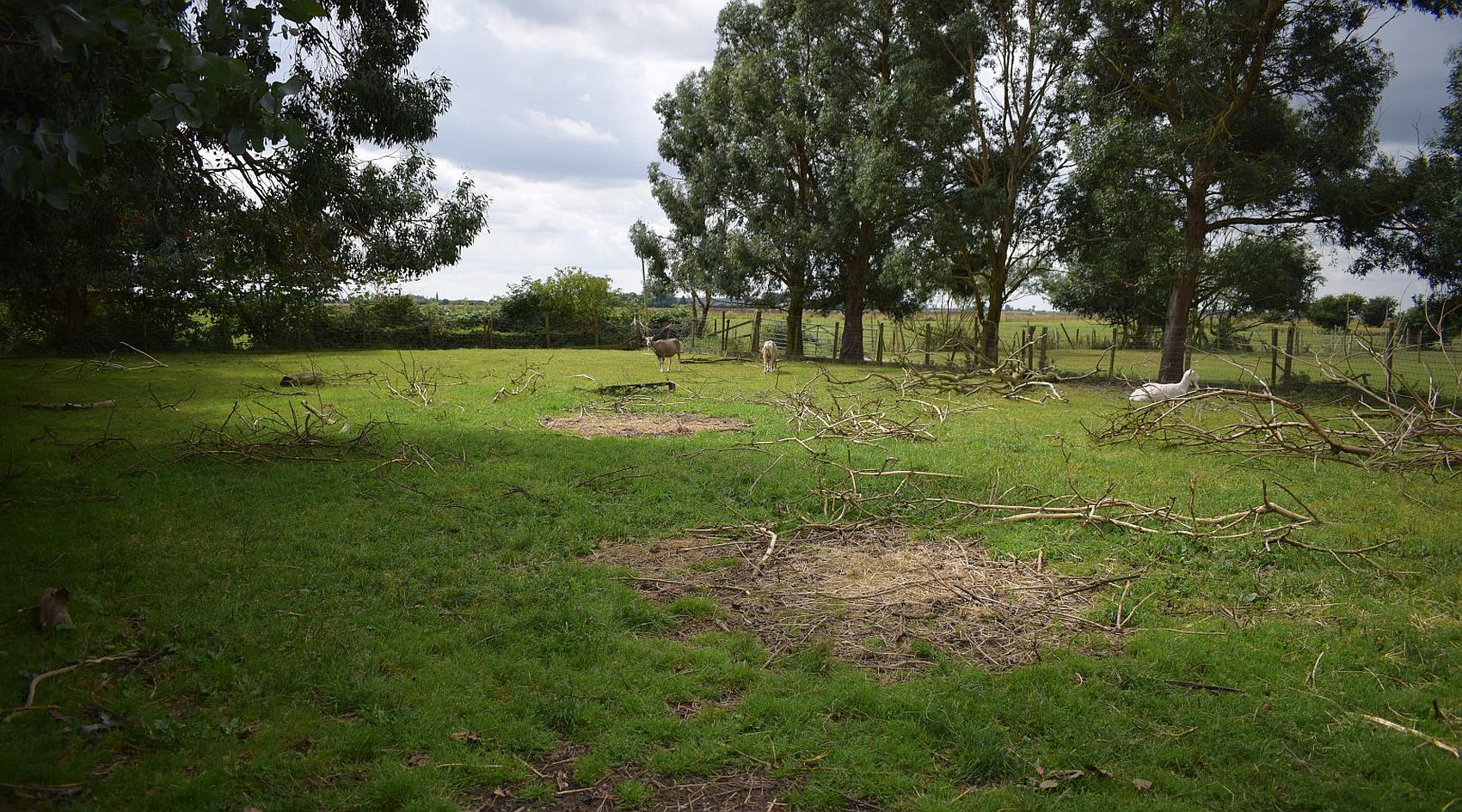 Skegness LINCOLNSHIRE