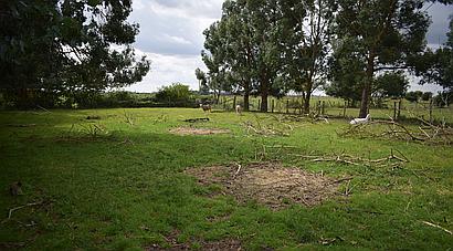 Skegness LINCOLNSHIRE