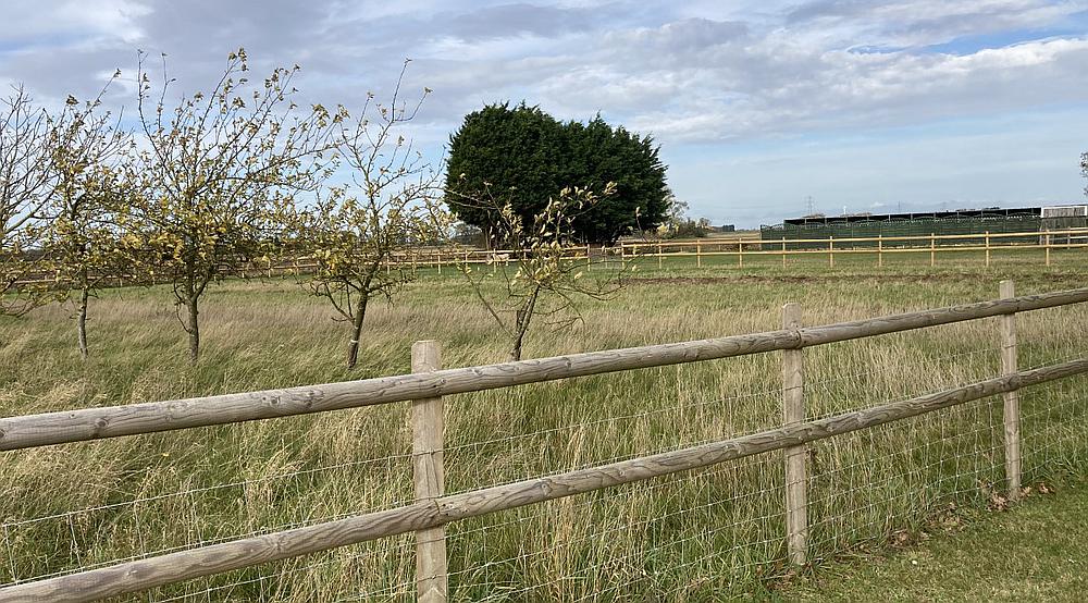 Long Sutton SPALDING