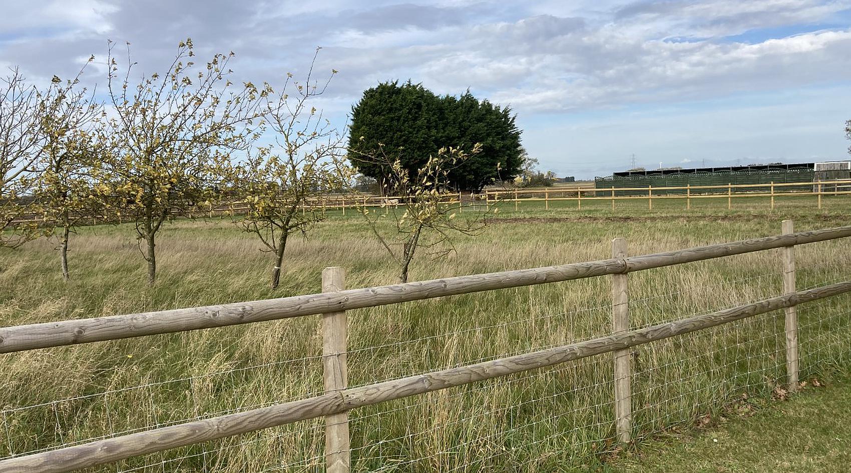 Long Sutton SPALDING