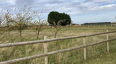 Long Sutton SPALDING