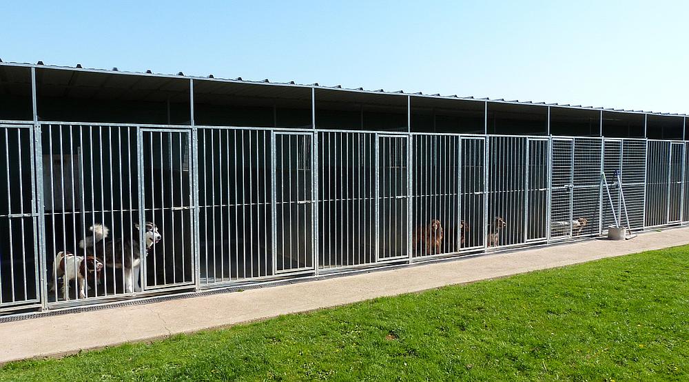 Long Sutton SPALDING