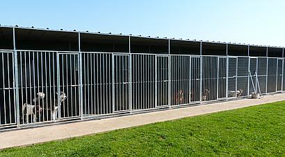 Long Sutton SPALDING