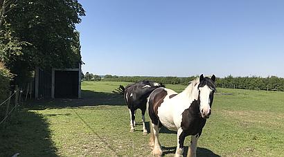 Swinthorpe LINCOLNSHIRE