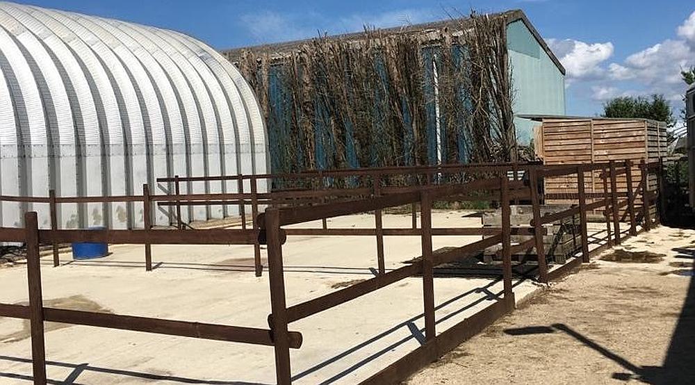 Walpole St Andrew CAMBRIDGESHIRE