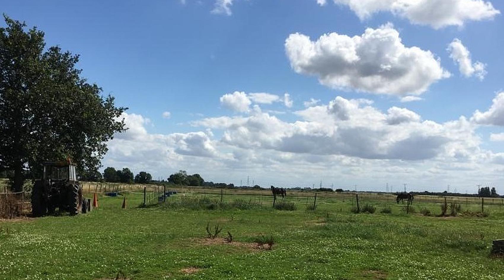 Walpole St Andrew CAMBRIDGESHIRE