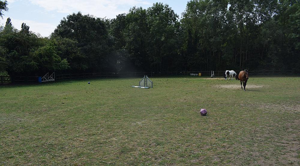 Wisbech CAMBRIDGESHIRE