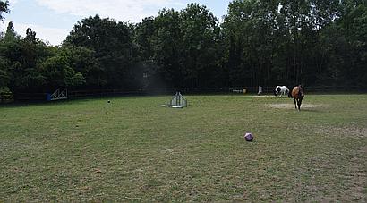 Wisbech CAMBRIDGESHIRE