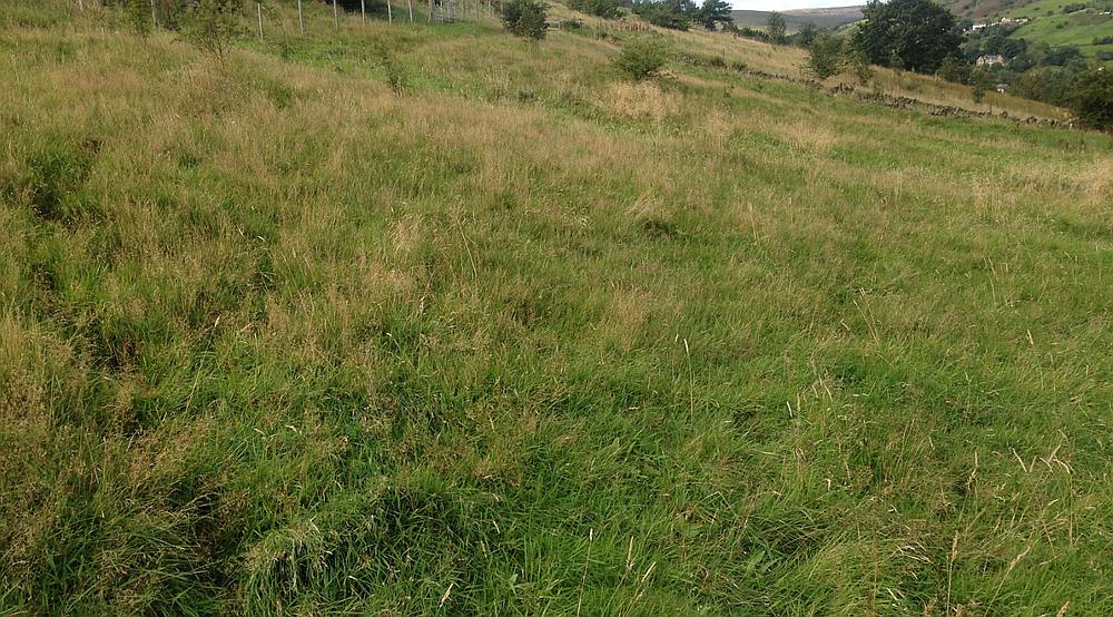 Slaithwaite WEST YORKSHIRE