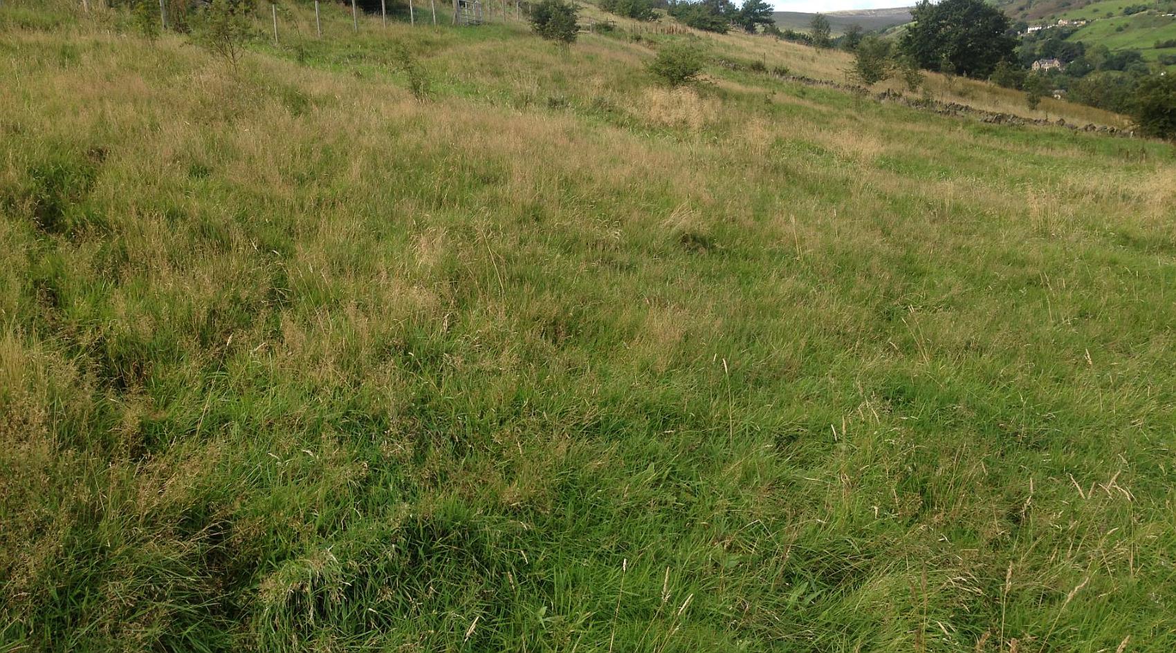 Slaithwaite WEST YORKSHIRE