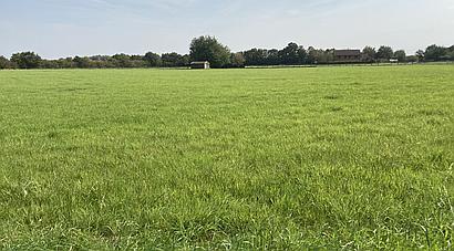 Somersham CAMBRIDGESHIRE