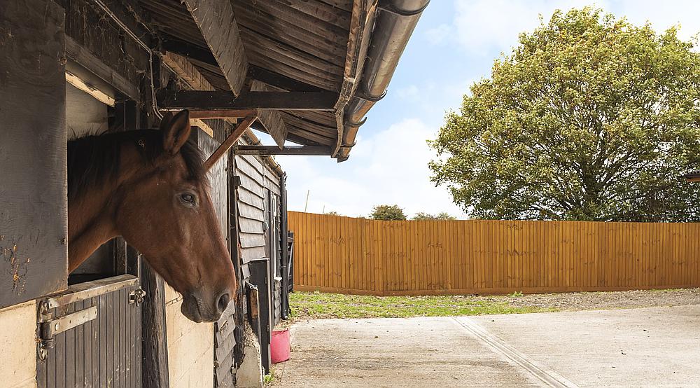 Newborough LINCOLNSHIRE