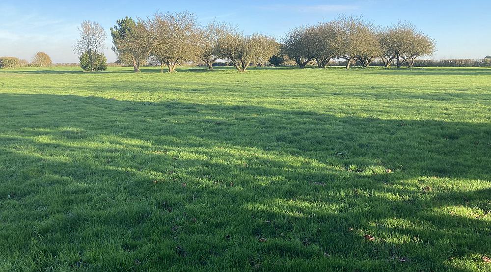 Wisbech CAMBRIDGESHIRE