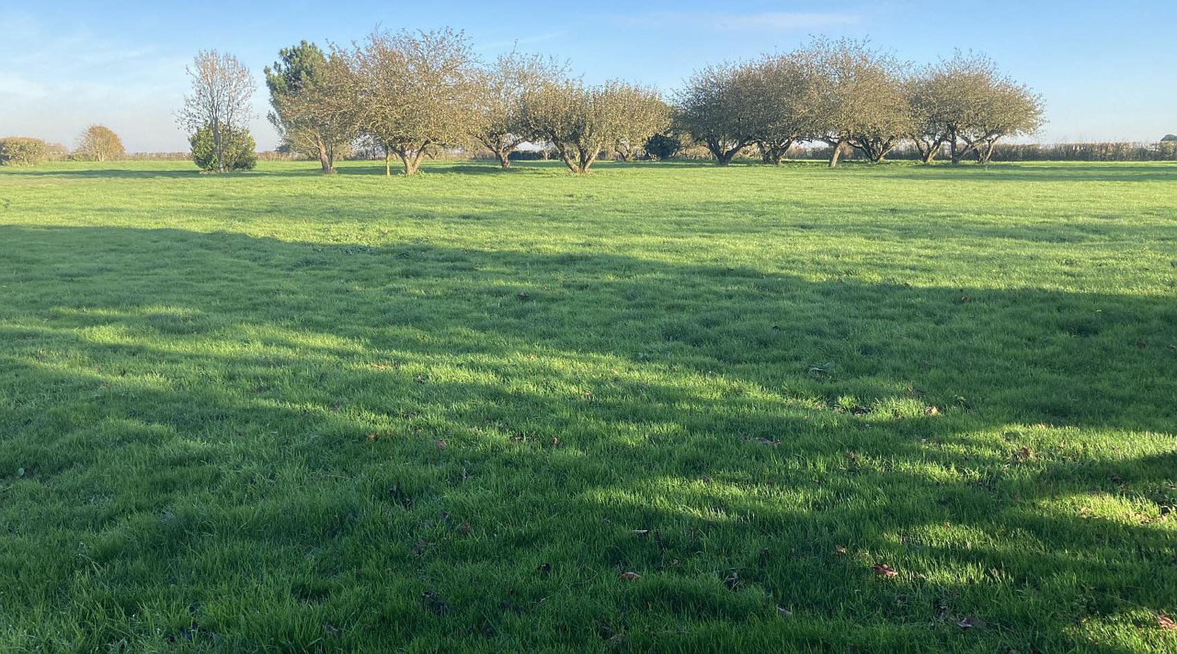 Wisbech CAMBRIDGESHIRE