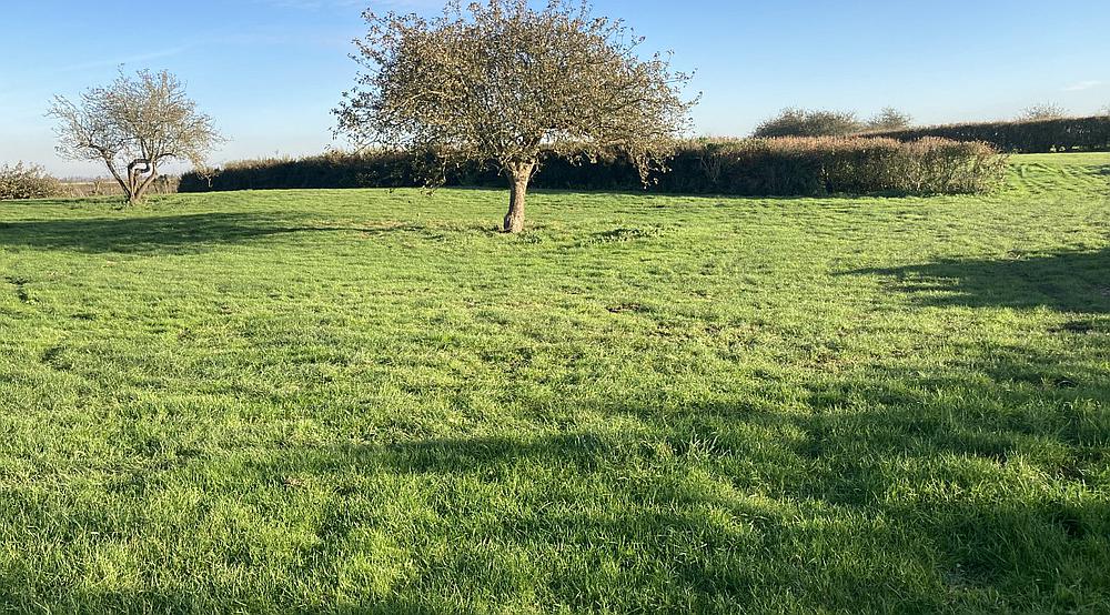 Wisbech CAMBRIDGESHIRE