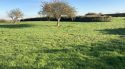 Wisbech CAMBRIDGESHIRE