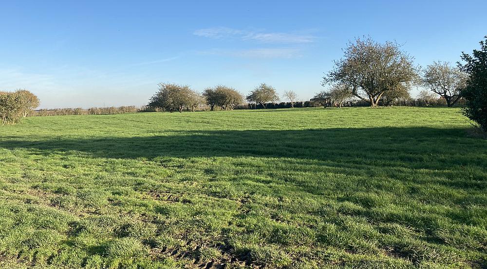 Wisbech CAMBRIDGESHIRE