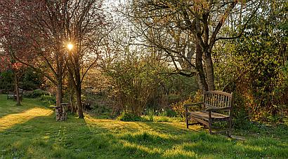 Strumpshaw NORFOLK