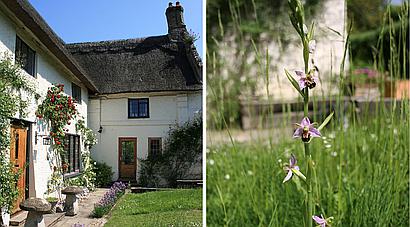 Strumpshaw NORFOLK