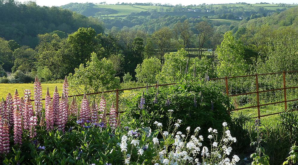 Pentrecwrt CARMARTHENSHIRE