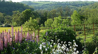 Pentrecwrt CARMARTHENSHIRE