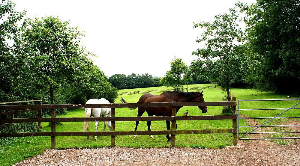 Lydeard St Lawrence SOMERSET