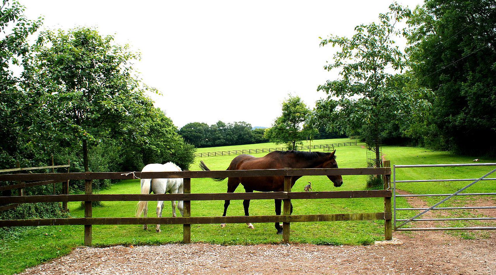 Lydeard St Lawrence SOMERSET