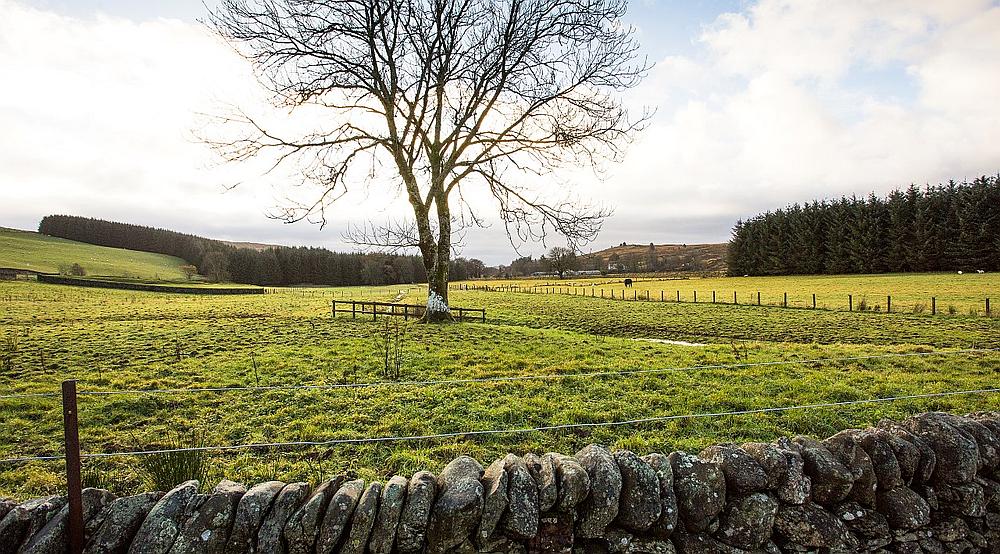 Eskdalemuir DUMFRIESSHIRE