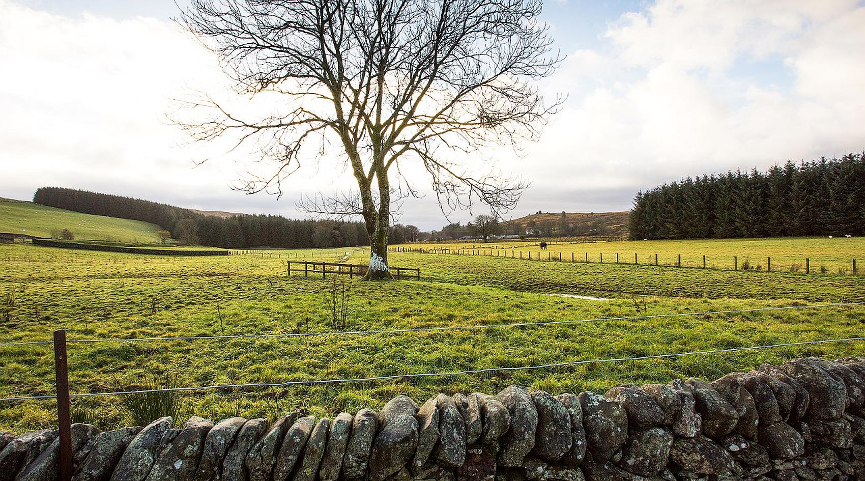 Eskdalemuir DUMFRIESSHIRE