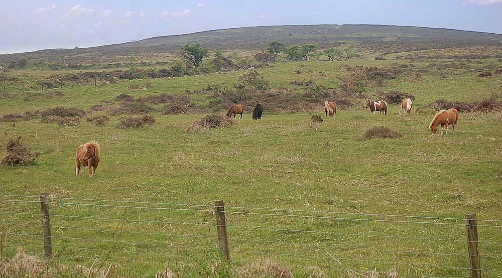 Whitland PEMBROKESHIRE