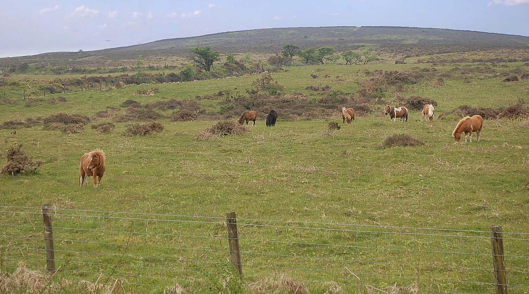 Whitland PEMBROKESHIRE