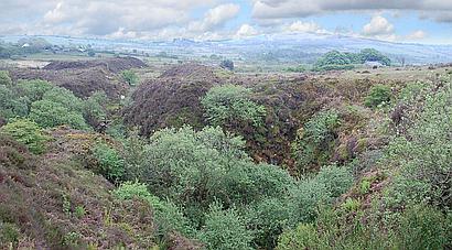 Whitland PEMBROKESHIRE