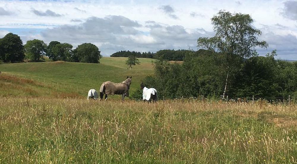 Boreland DUMFRIESSHIRE