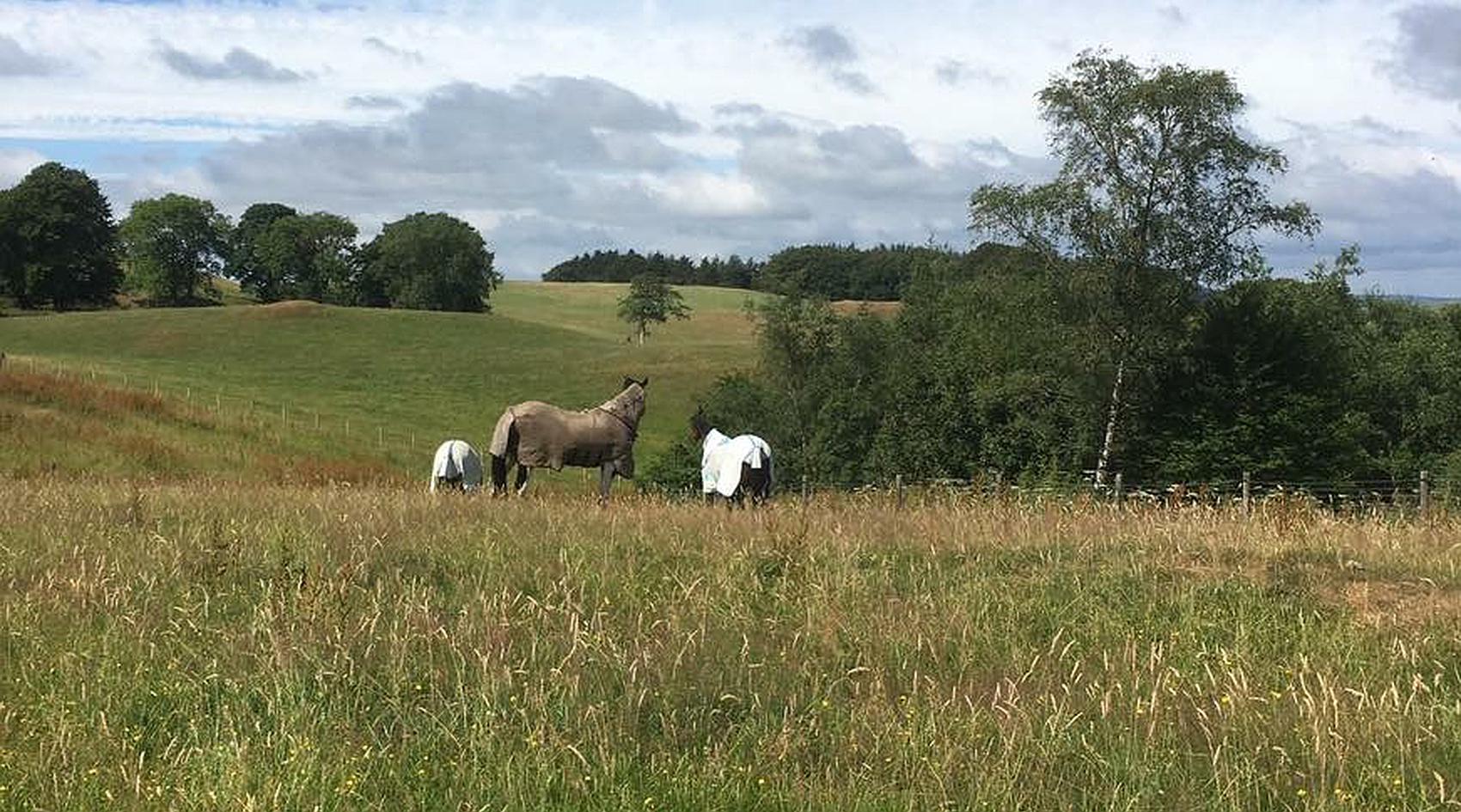 Boreland DUMFRIESSHIRE