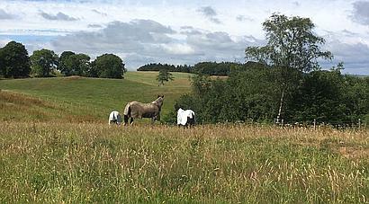 Boreland DUMFRIESSHIRE