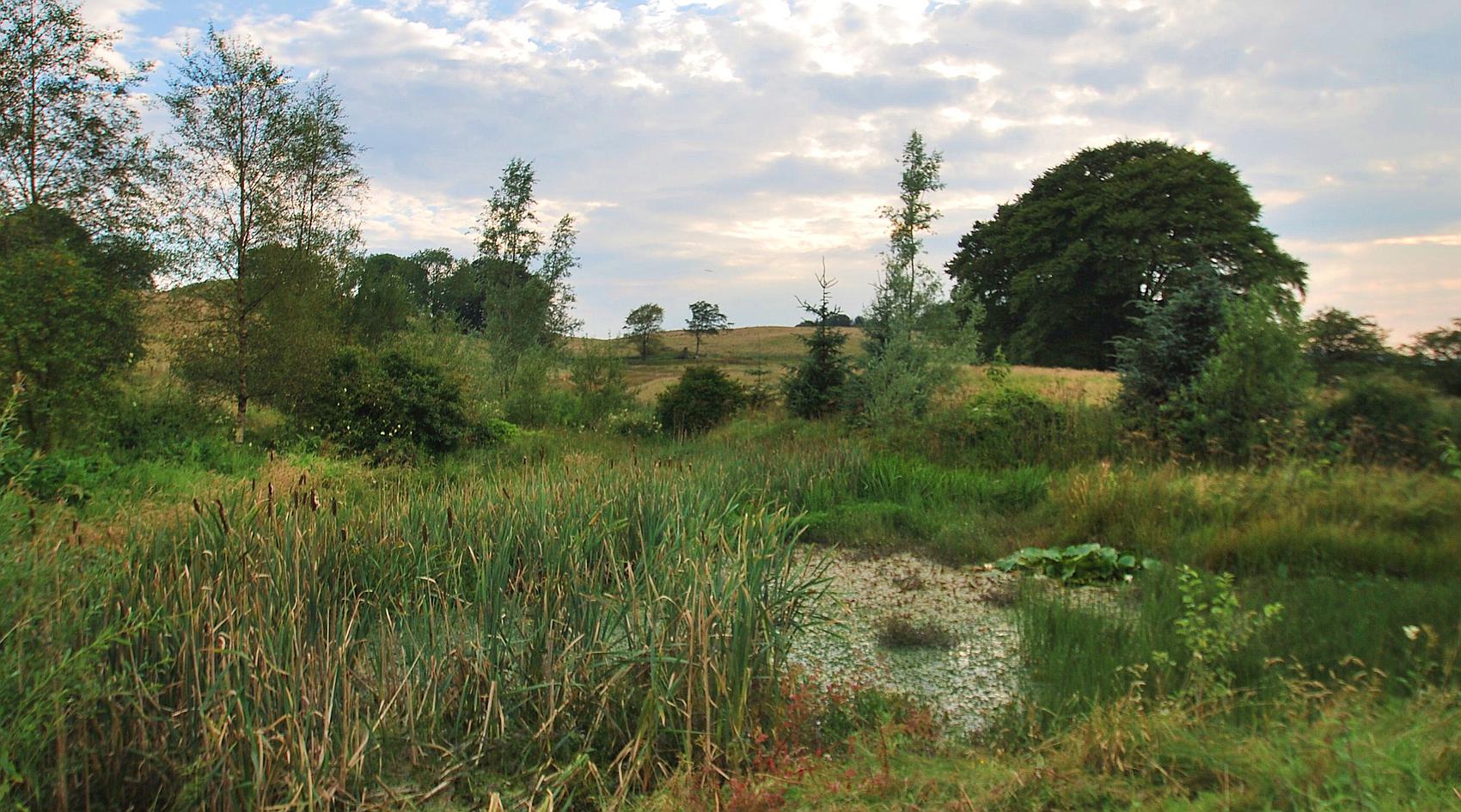 Boreland DUMFRIESSHIRE