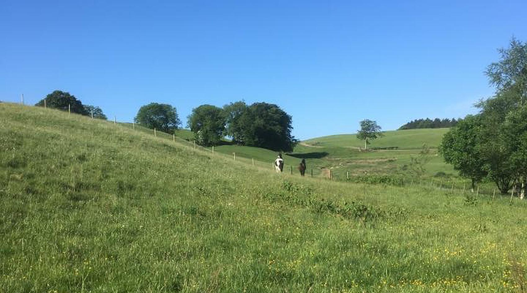 Boreland DUMFRIESSHIRE